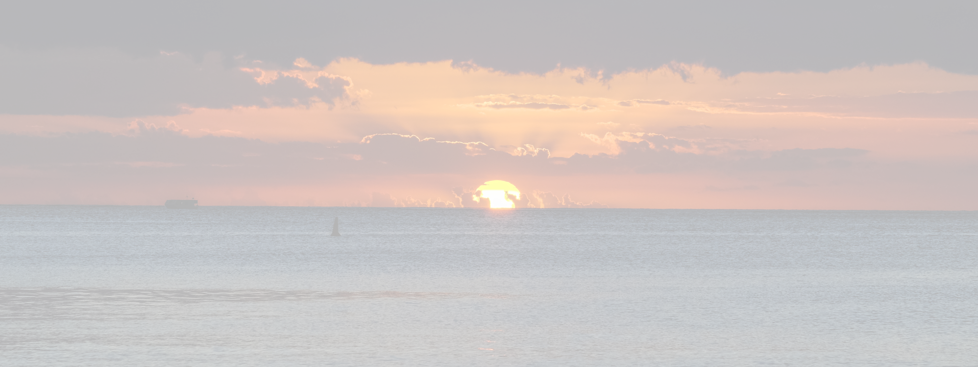 ANCHOR*1st May*Calendar